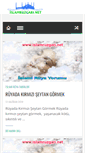 Mobile Screenshot of islamruzgari.net